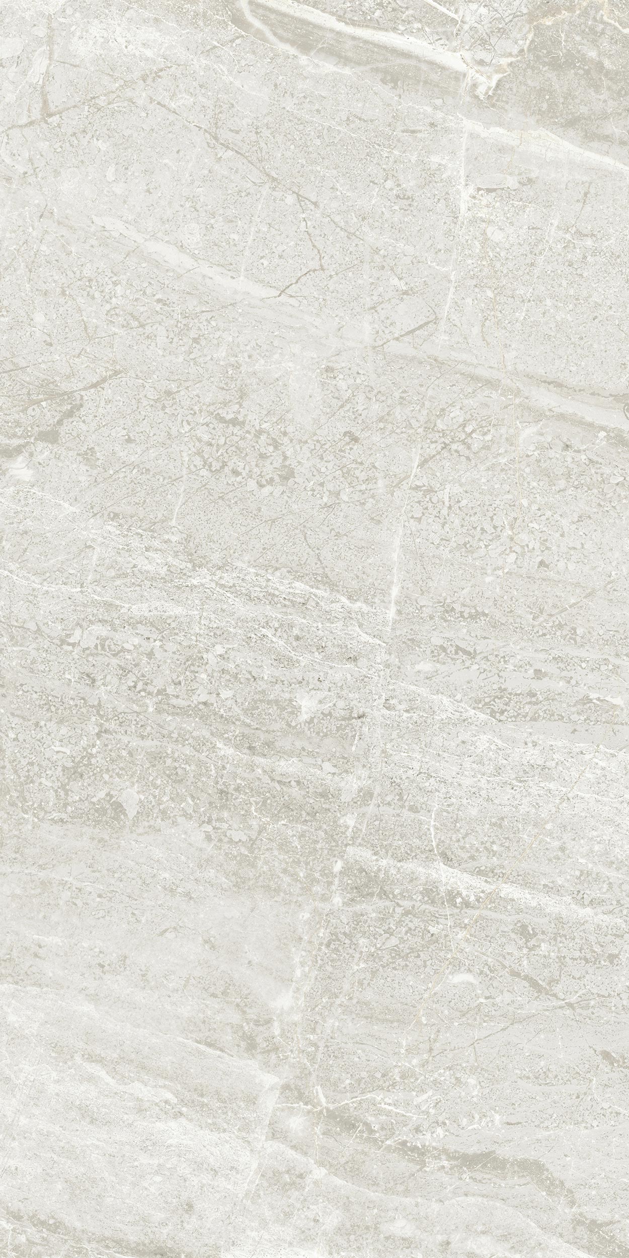 30x60 Arden Fildişi