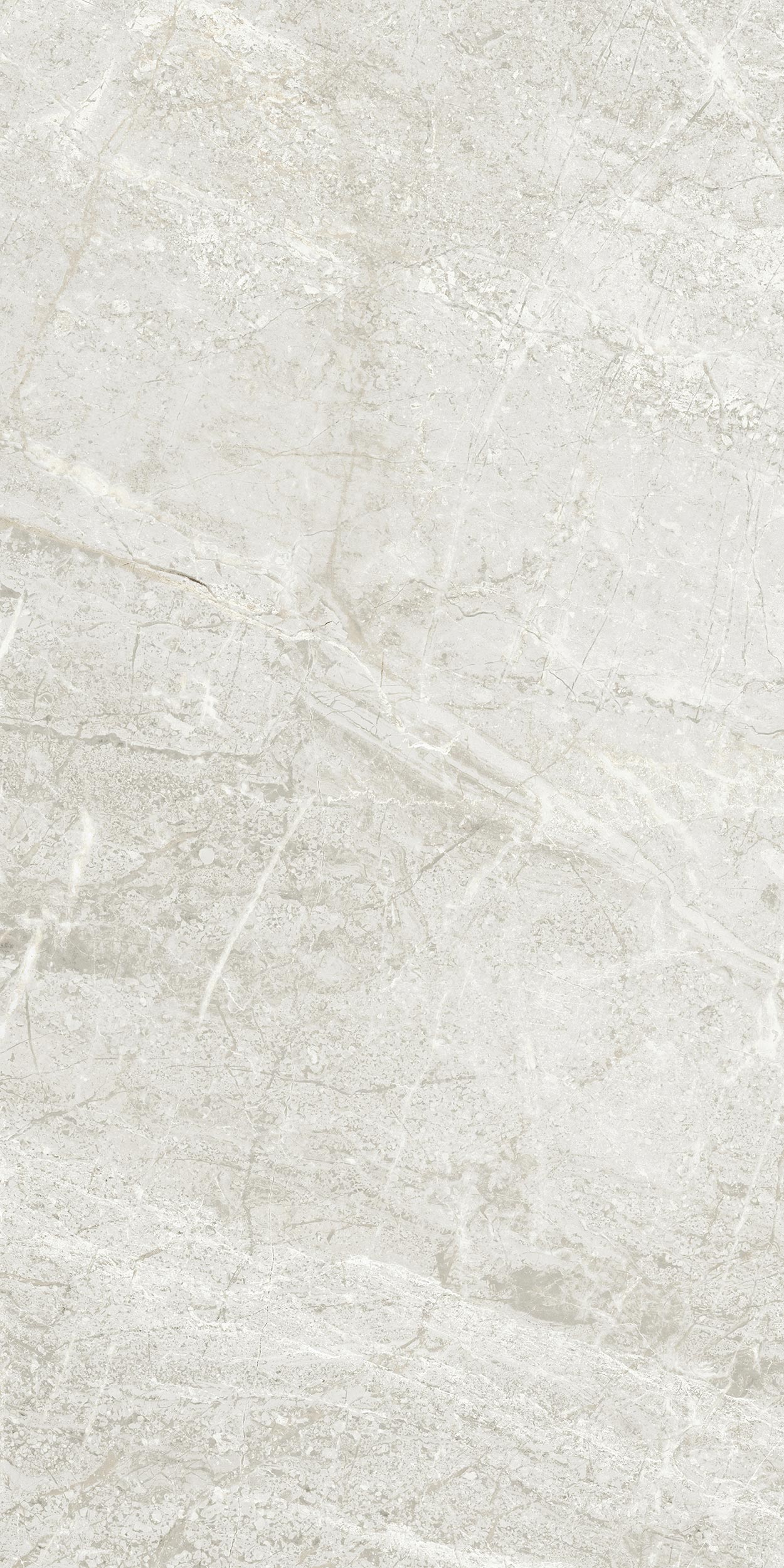 30x60 Arden Fildişi