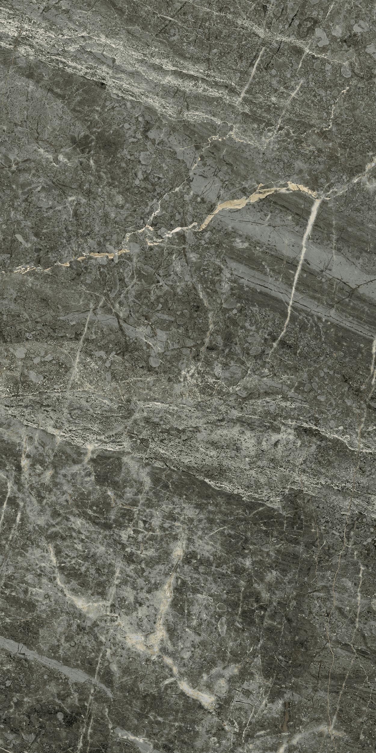 30x60 Arden Antrasit