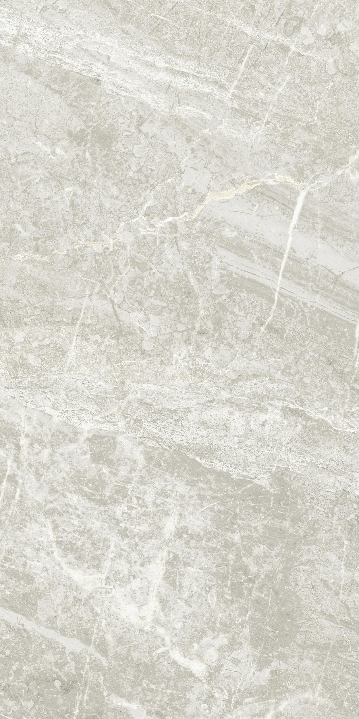 30x60 Arden Fildişi