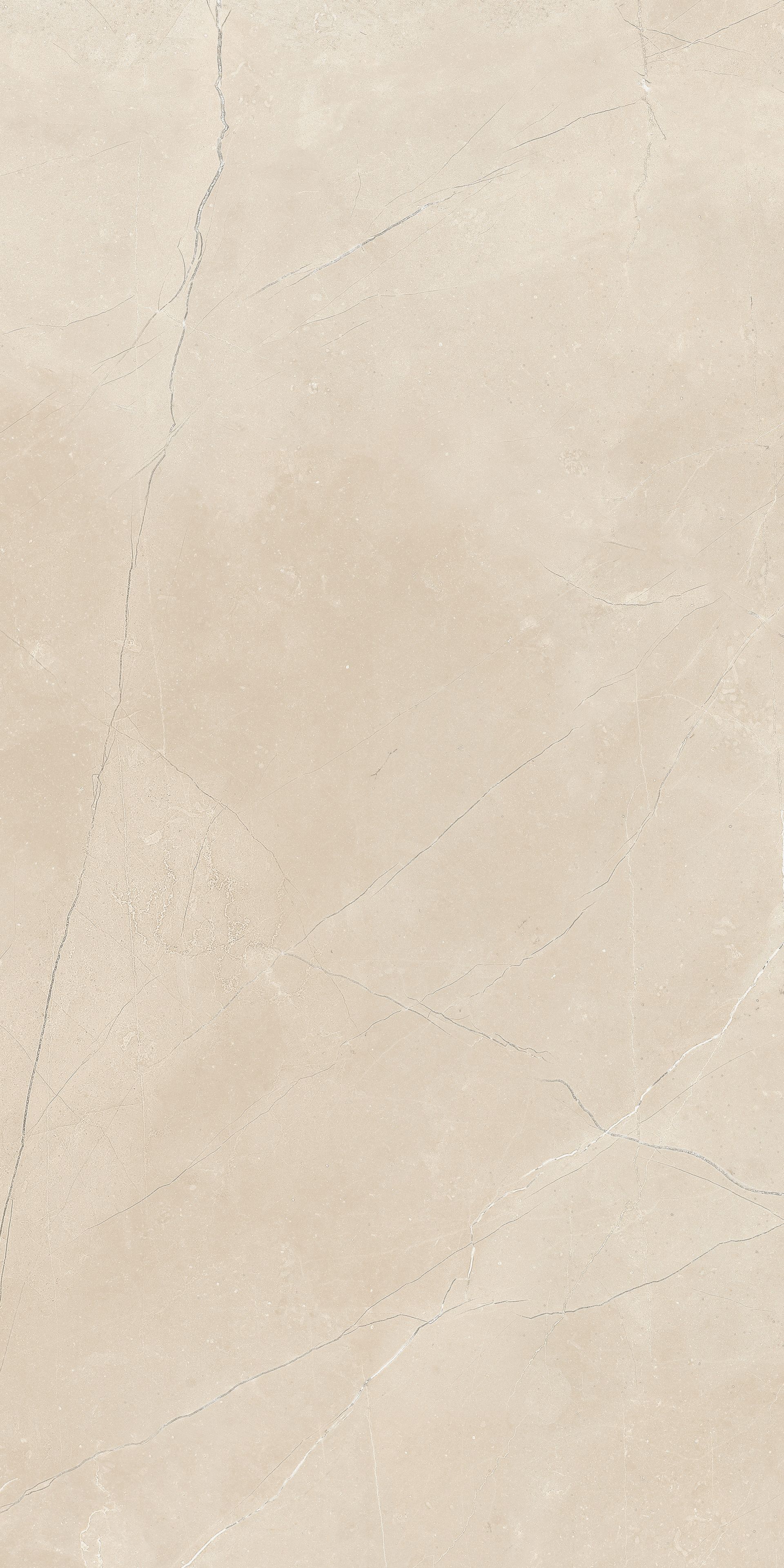 30X60 Nest Fildişi