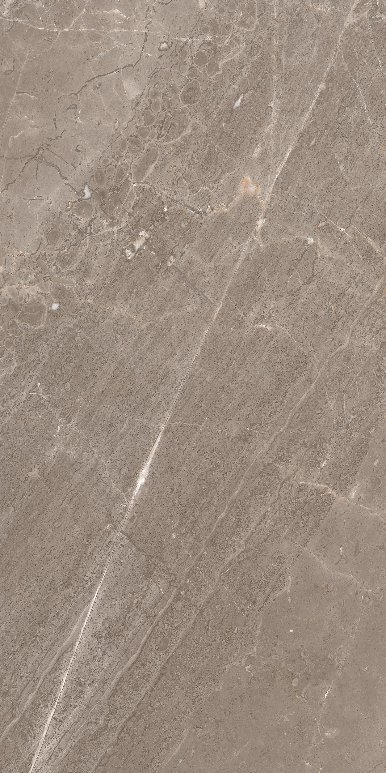 60x120 Padova Taupe Rektifiyeli