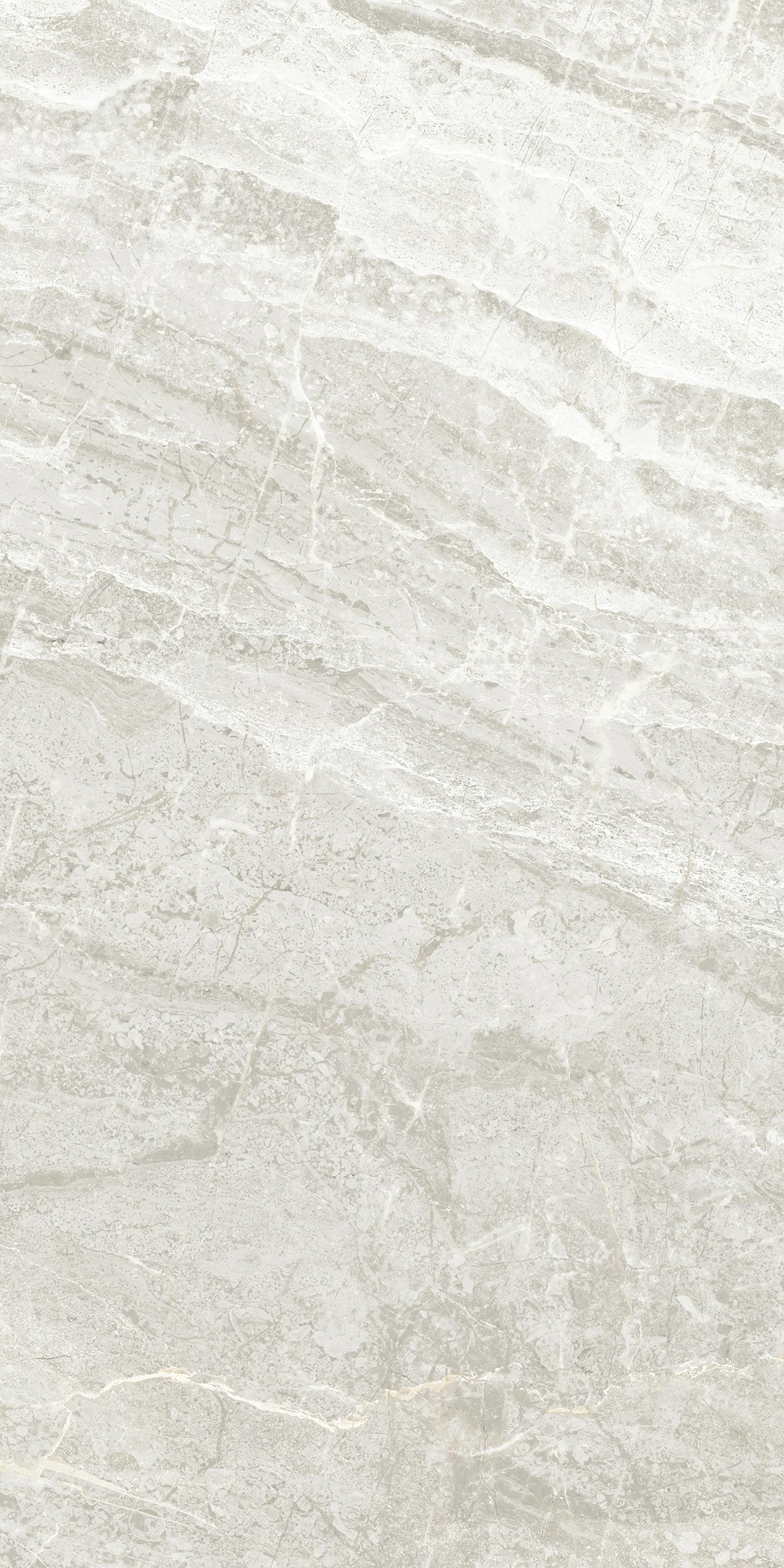 30x60 Arden Fildişi