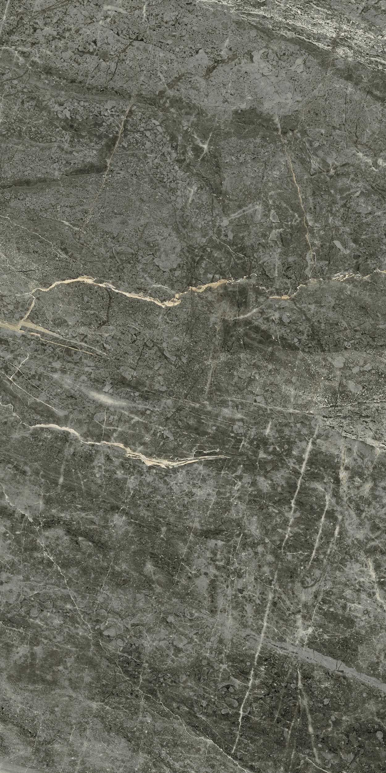 30x60 Arden Antrasit