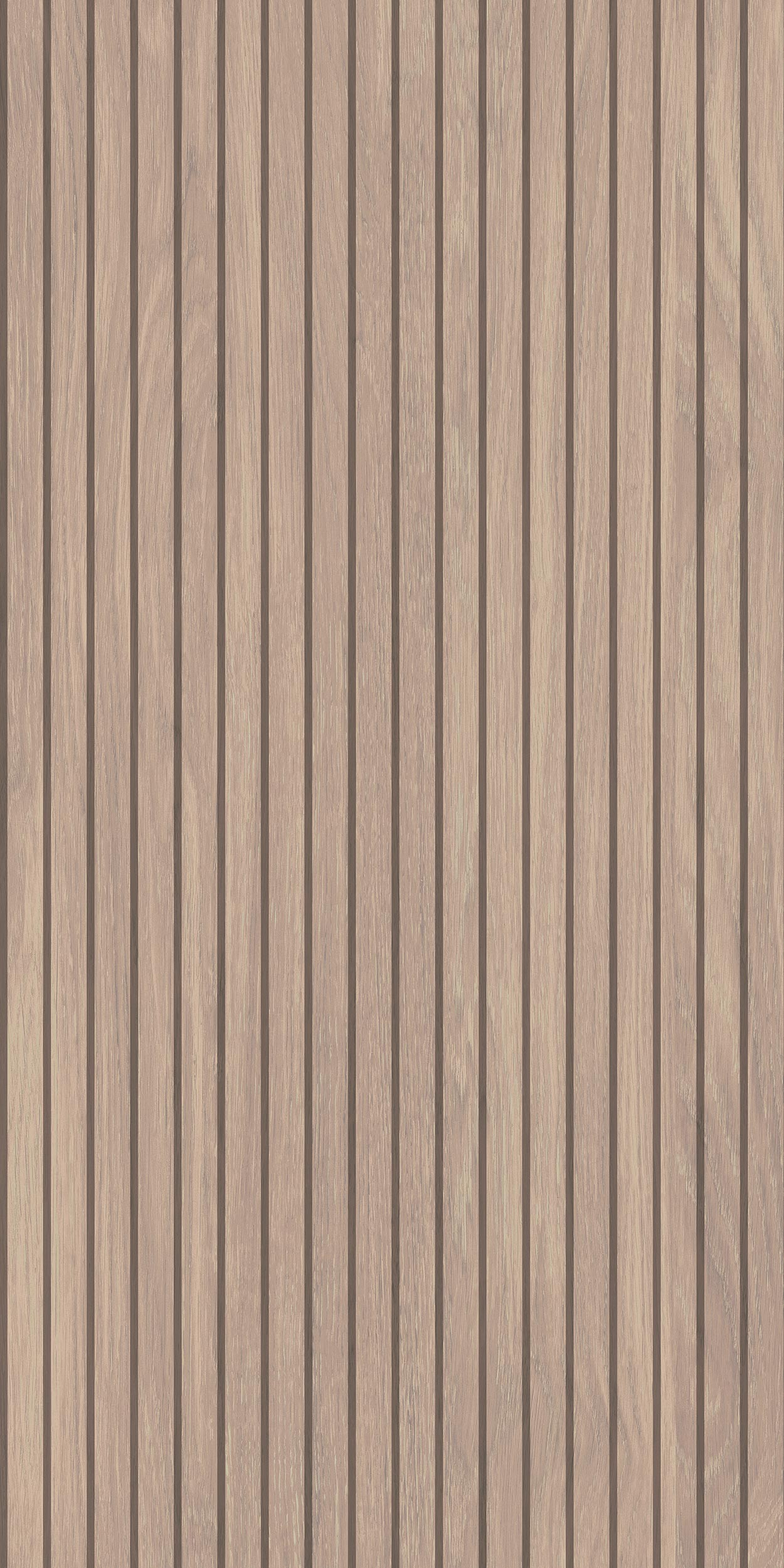 60x120 Sunpo Natural Rectified