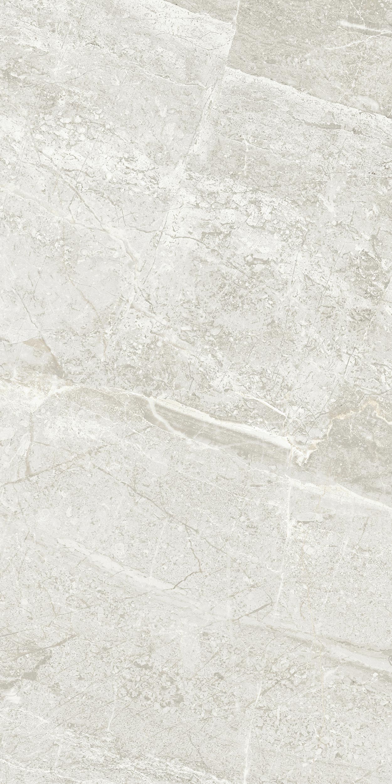 30x60 Arden Fildişi